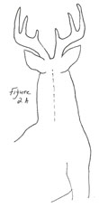 how to skin lifesize deer